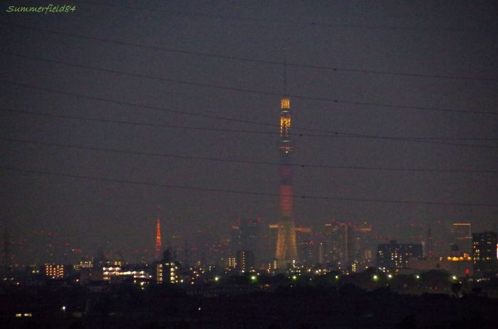 東京タワーとスカイツリー(明花)