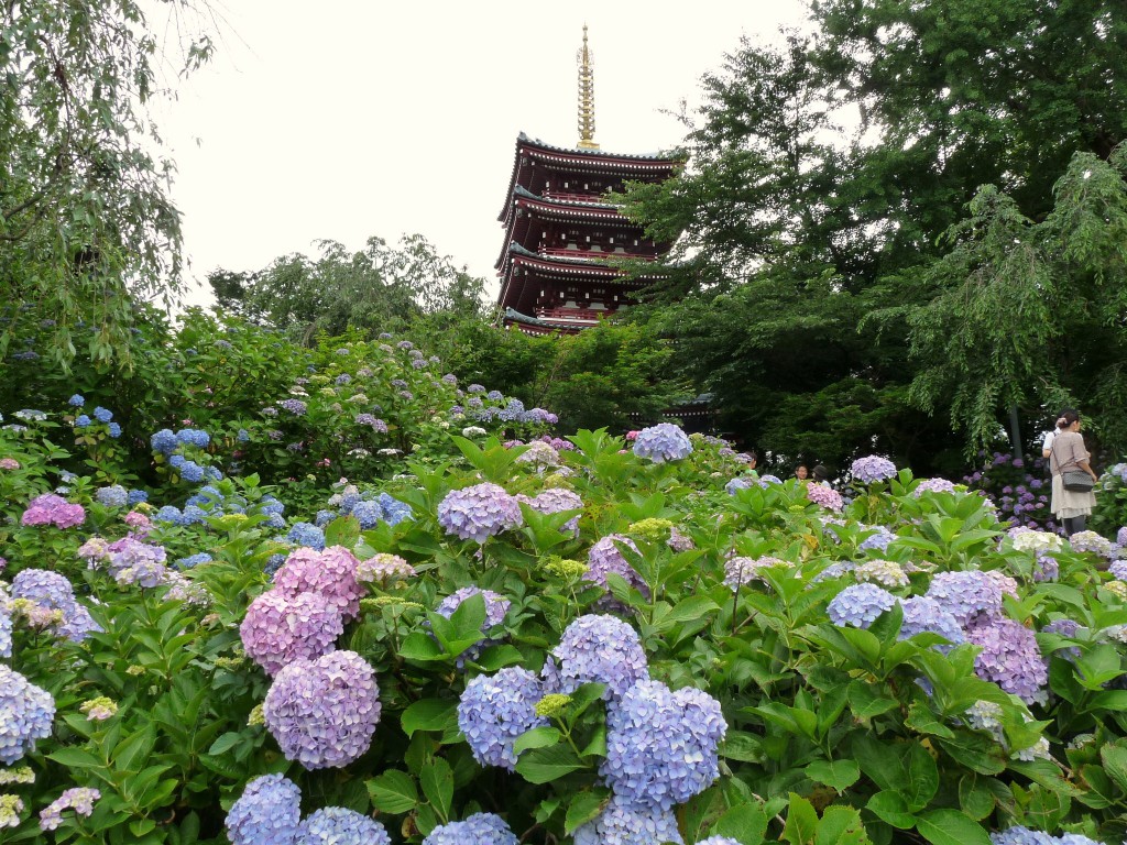 本土寺の五重の塔