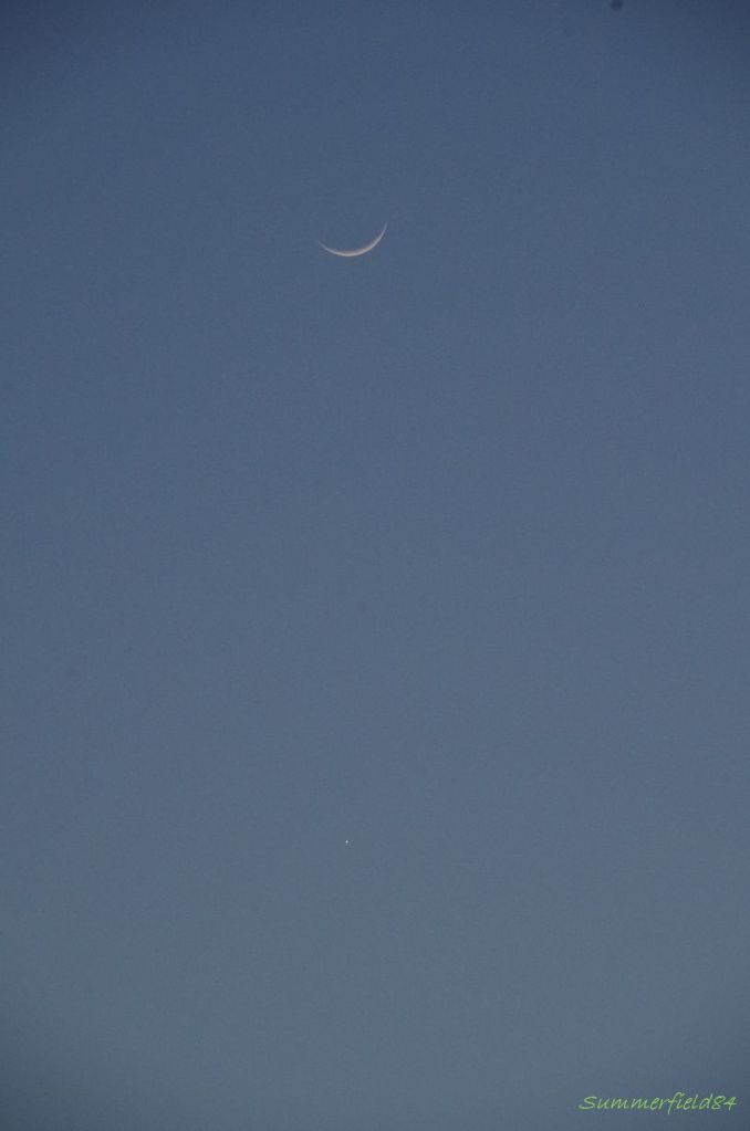 細い月と金星